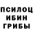Галлюциногенные грибы Psilocybine cubensis Nadezhda Eropkina