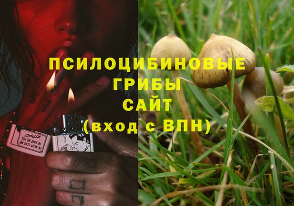 спайс Арсеньев