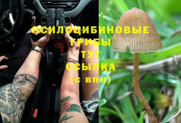 ECSTASY Аркадак