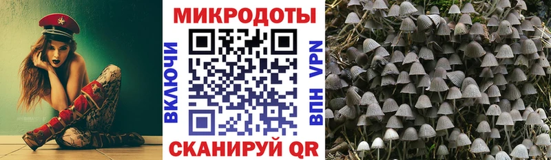 маркетплейс формула  Няндома  Галлюциногенные грибы мицелий 